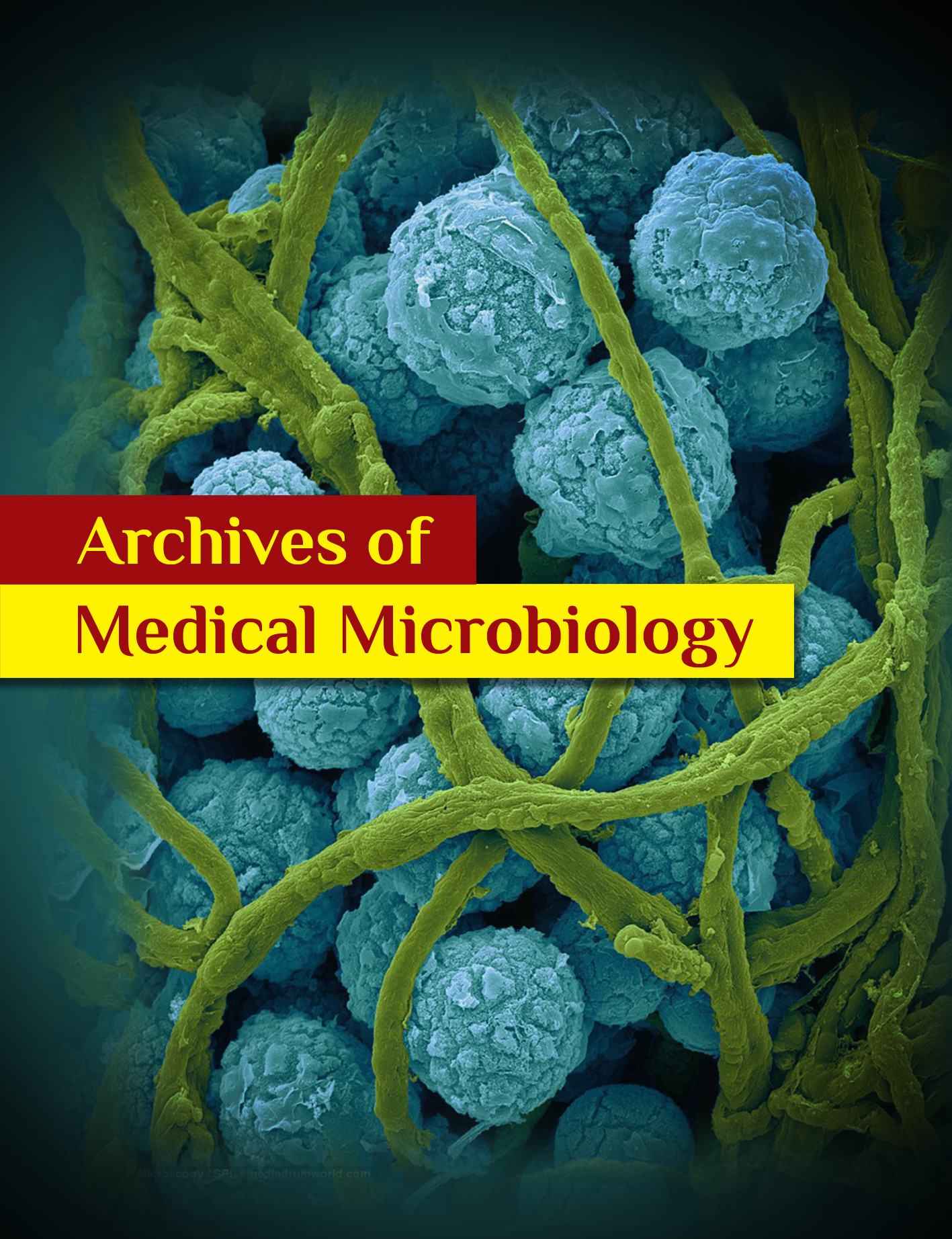 archives_of_medical_microbiology